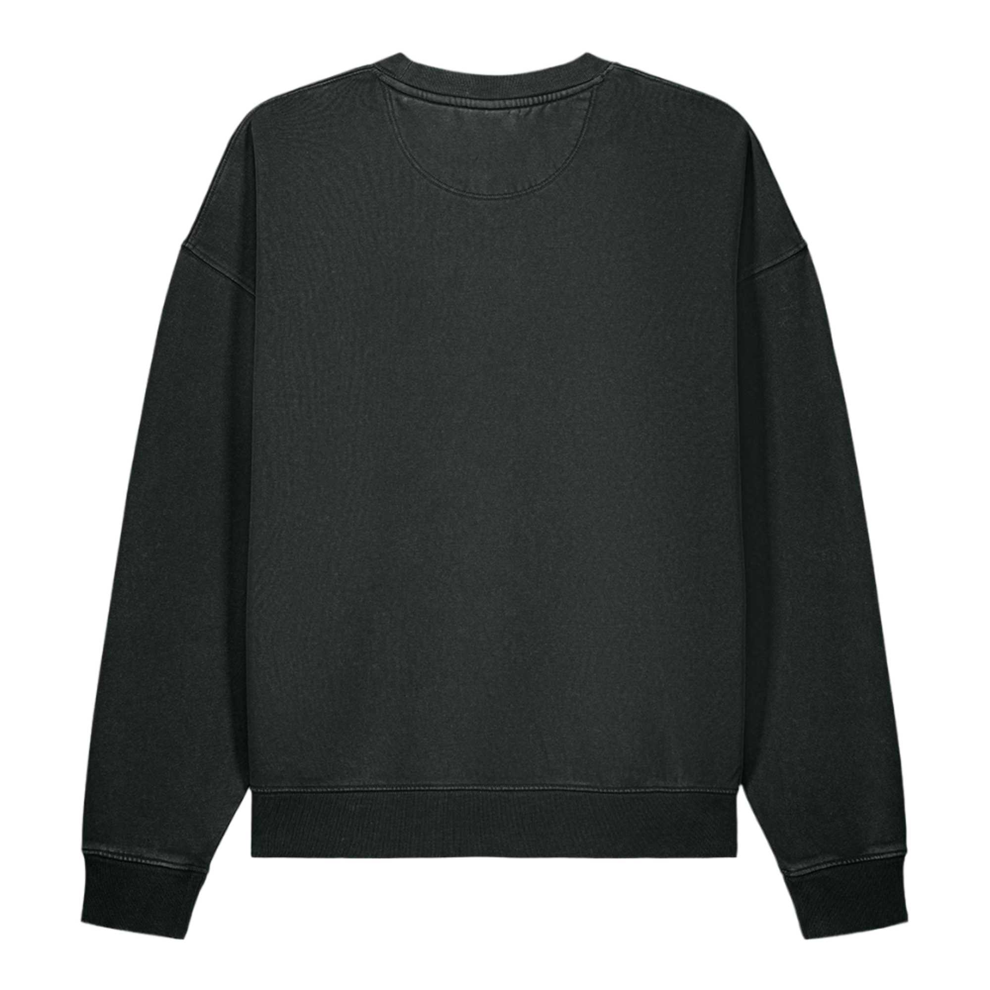 Washed Sweatshirt — Black back